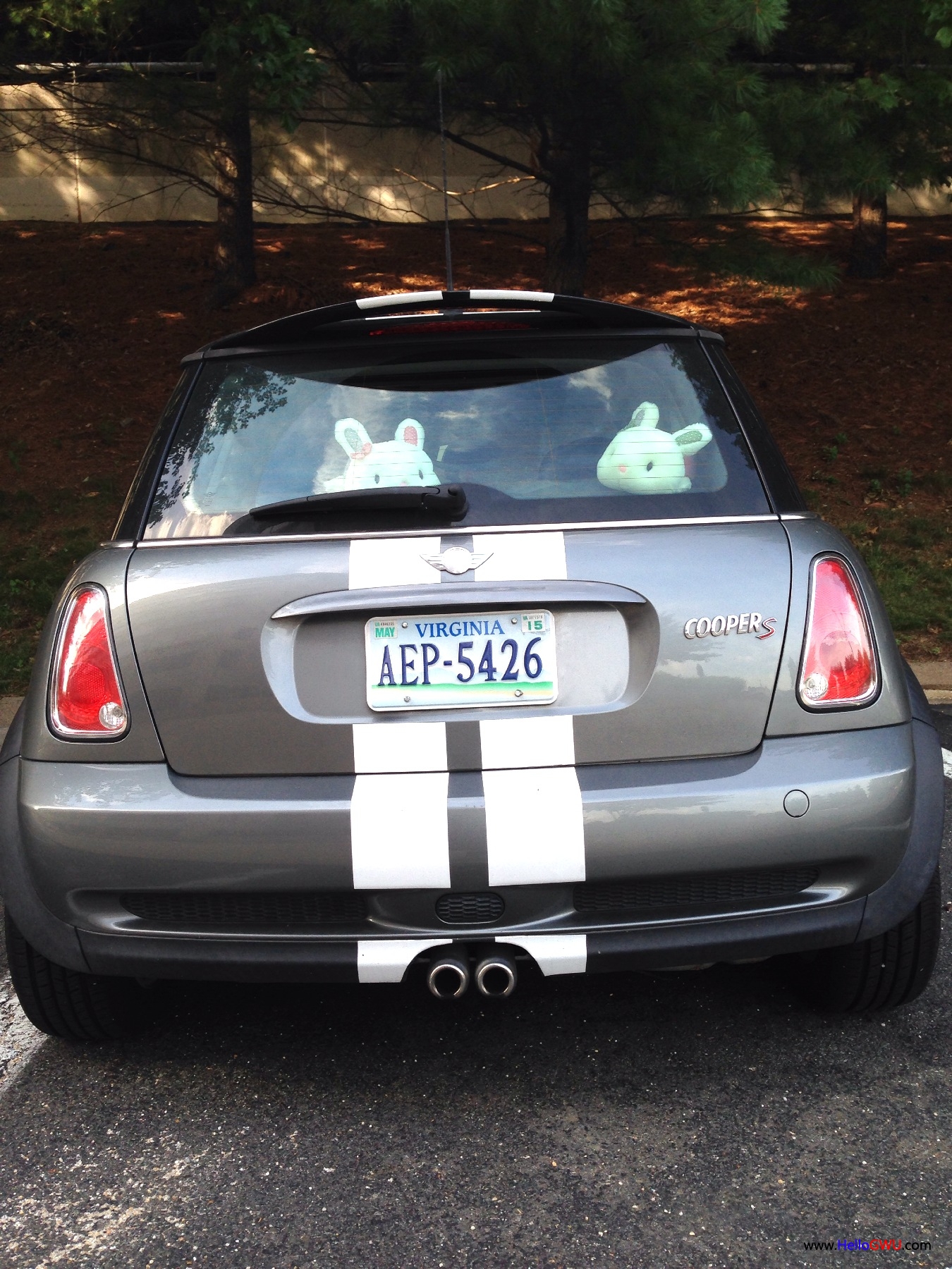 Photo Jul 19, 22 41 18.jpg