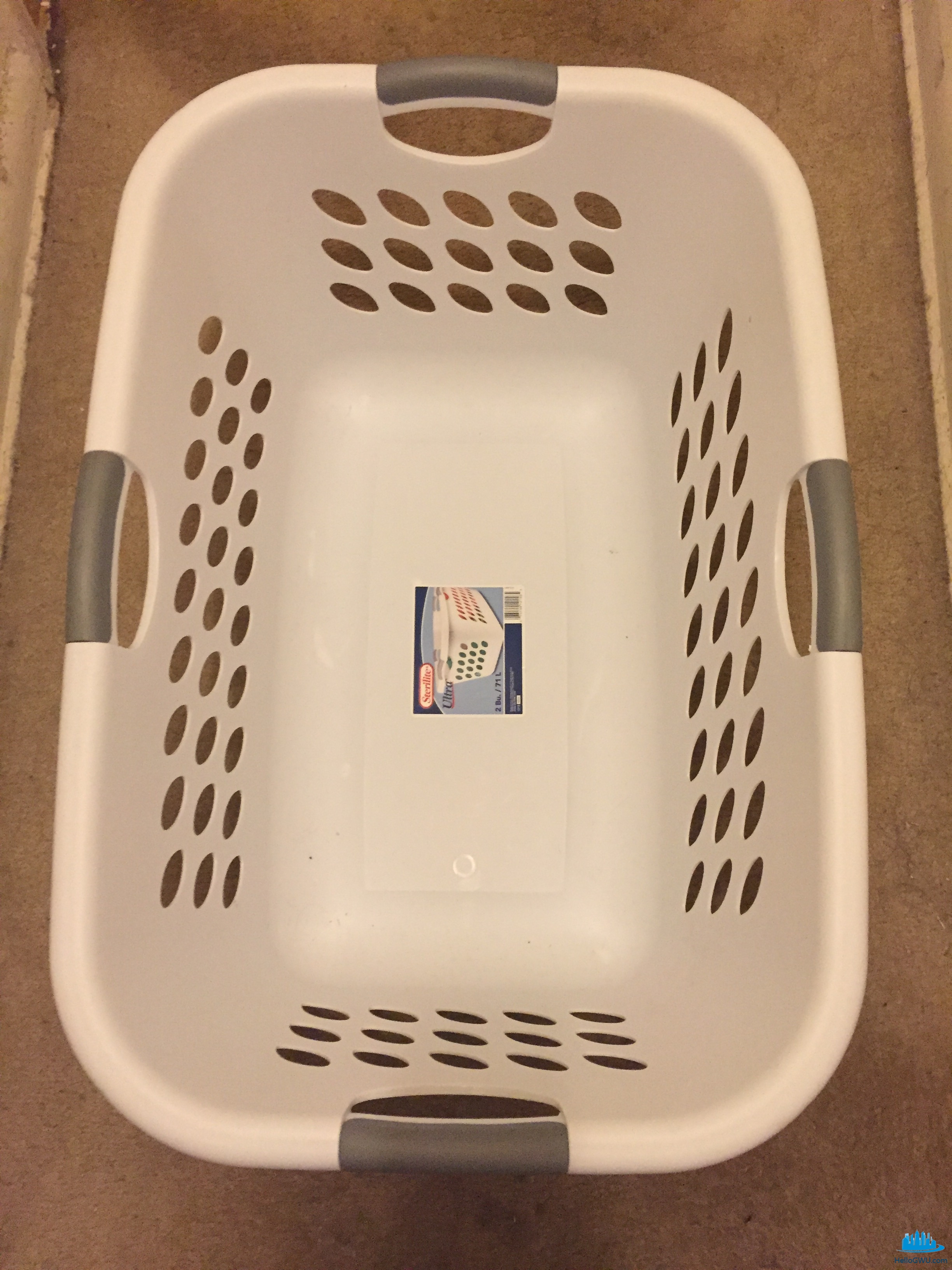 IMG_8741.jpg