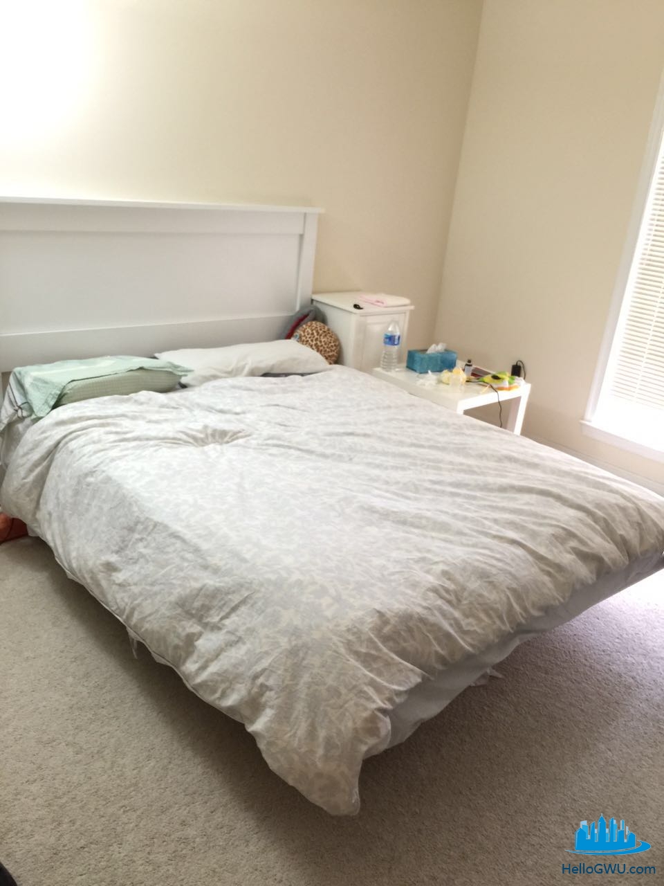 35.pic.jpg