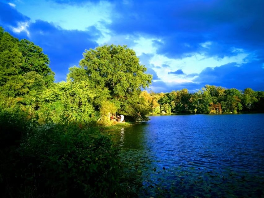 y19g2i3iif8l.jpg
