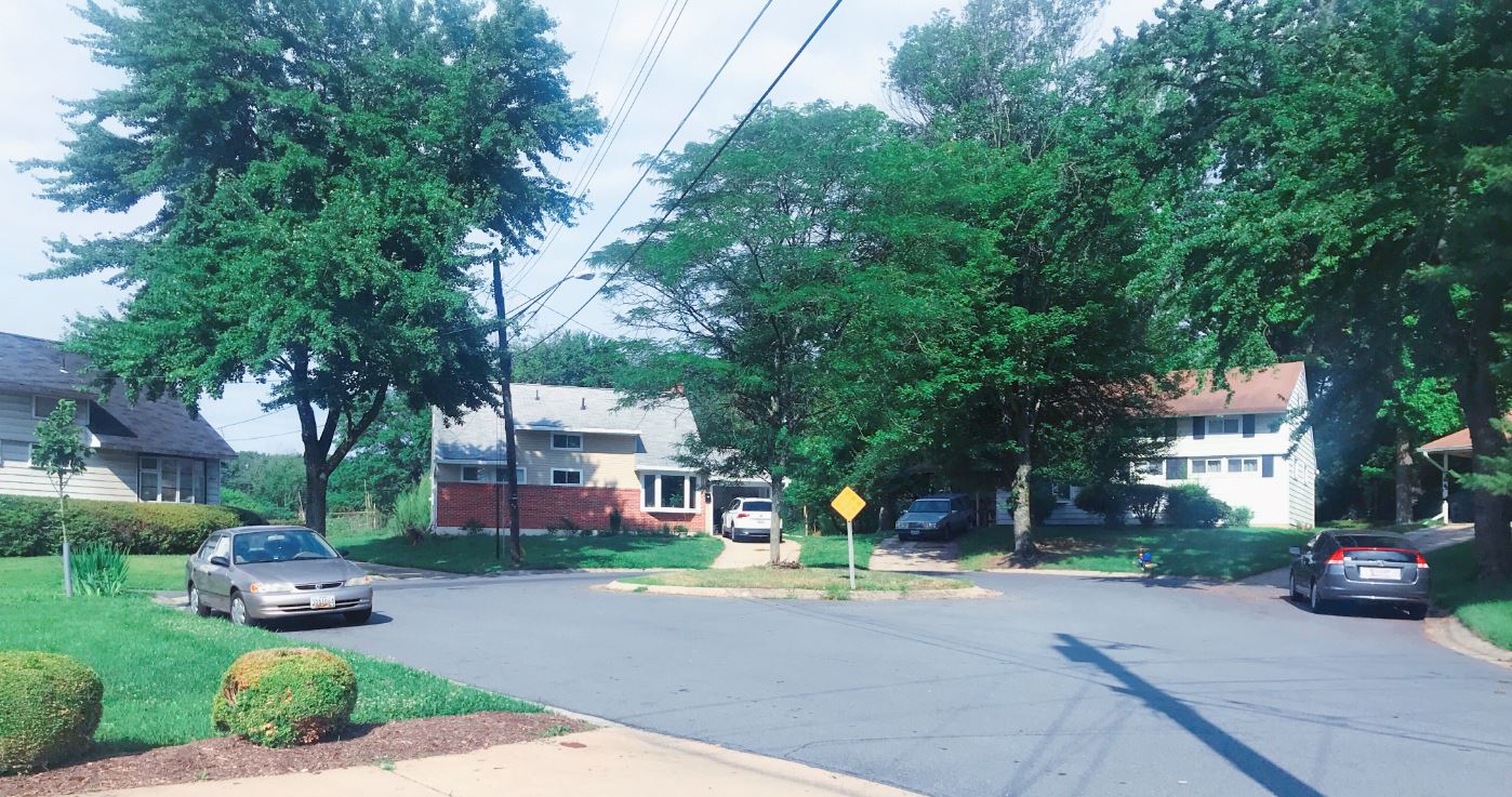 ����С���ǳ���ȫ