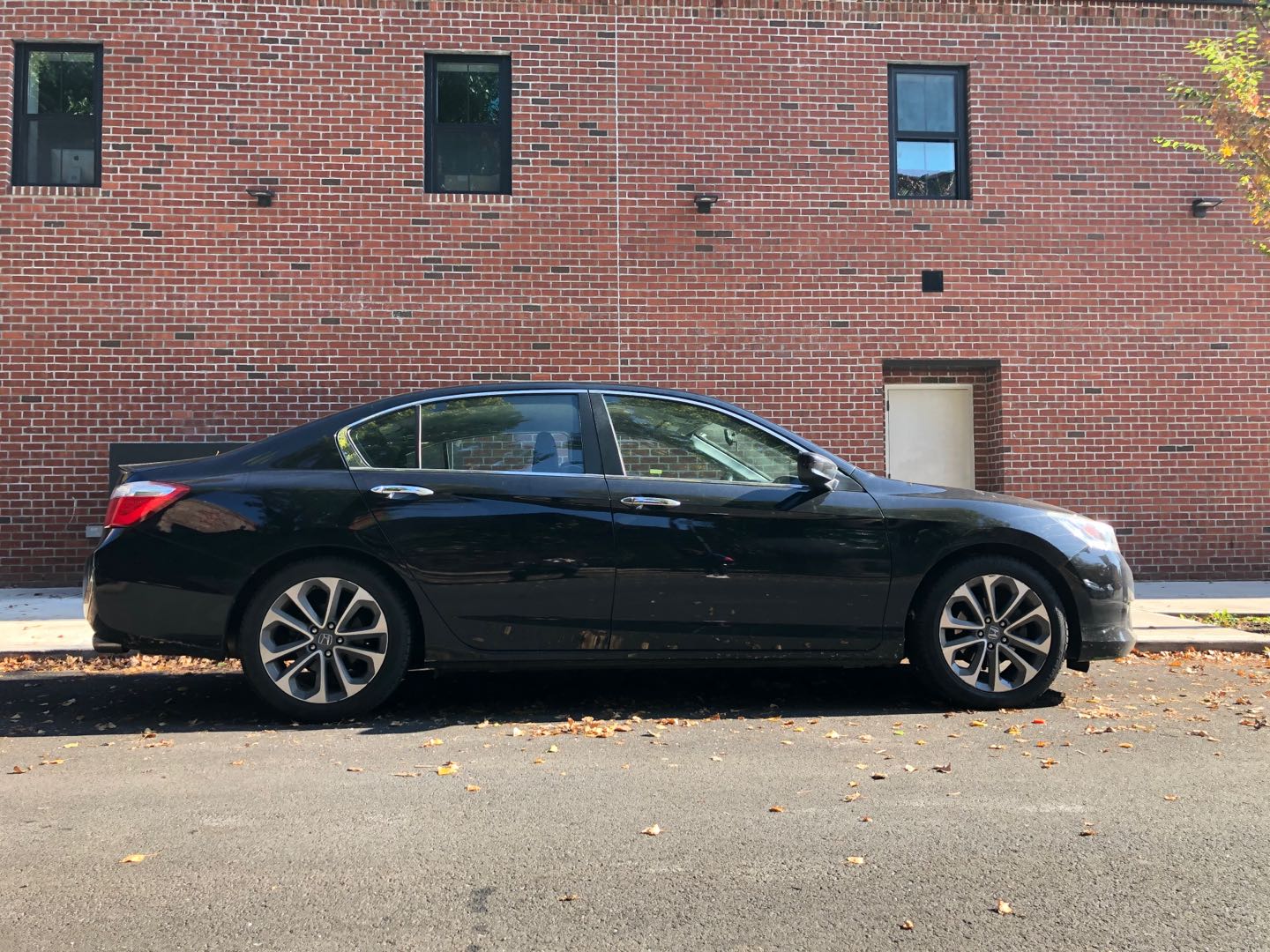 WeChat Image_20201103184839.jpg