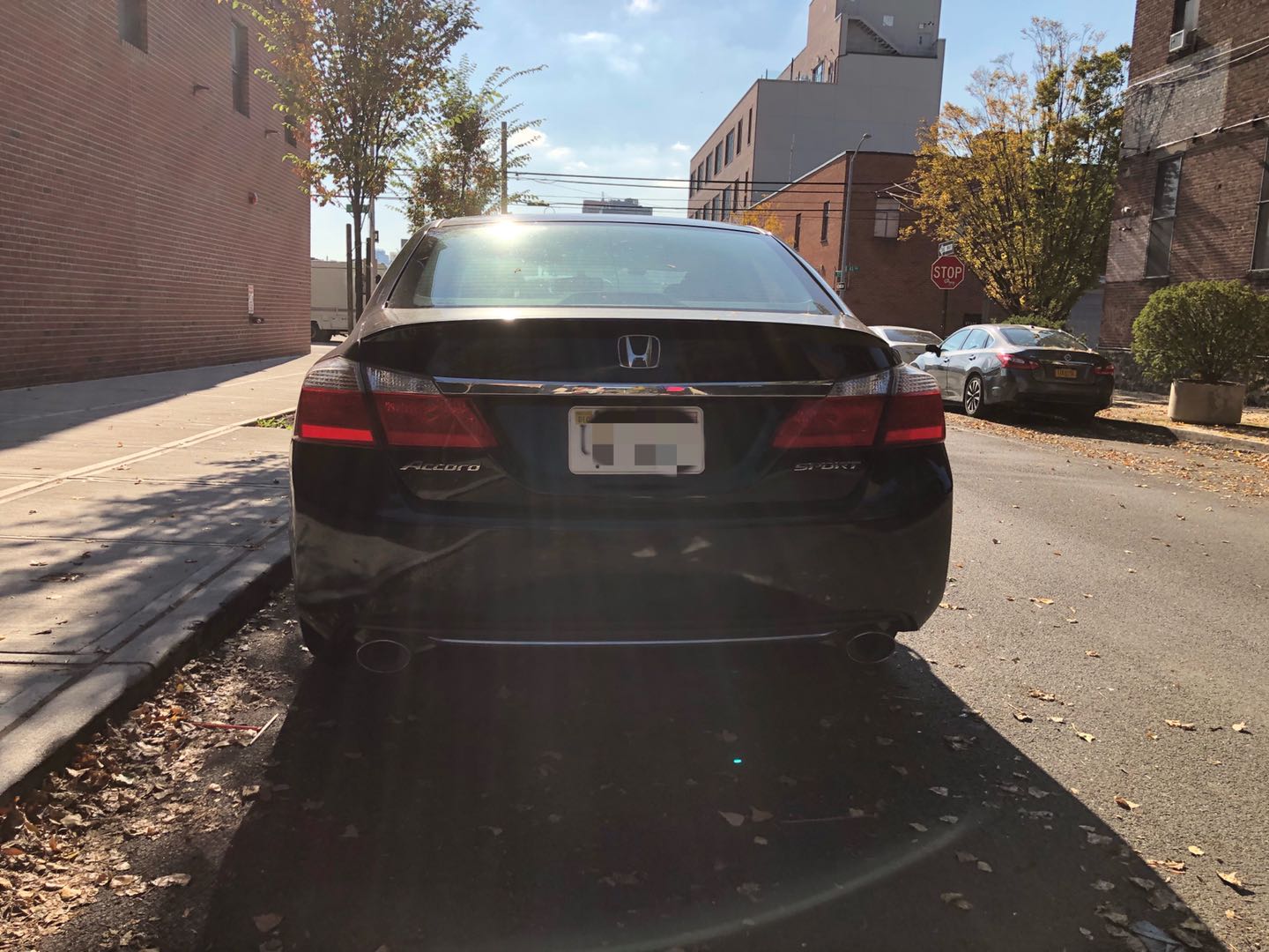 WeChat Image_20201103185244.jpg