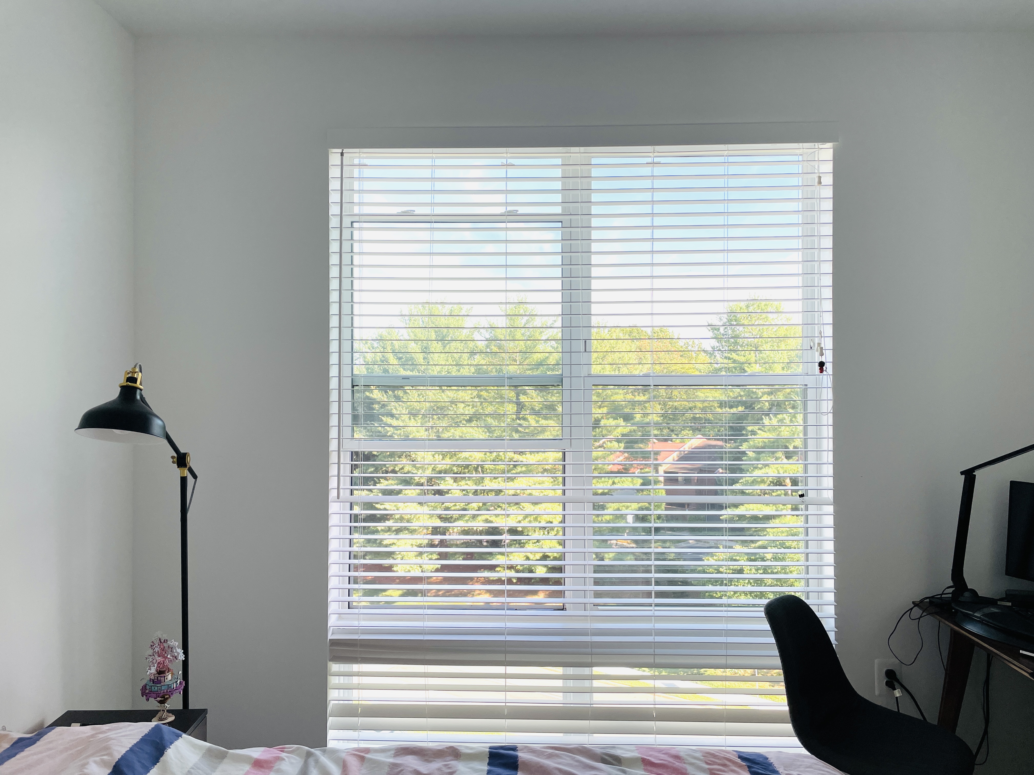 WeChat Image_20210702204724.jpg