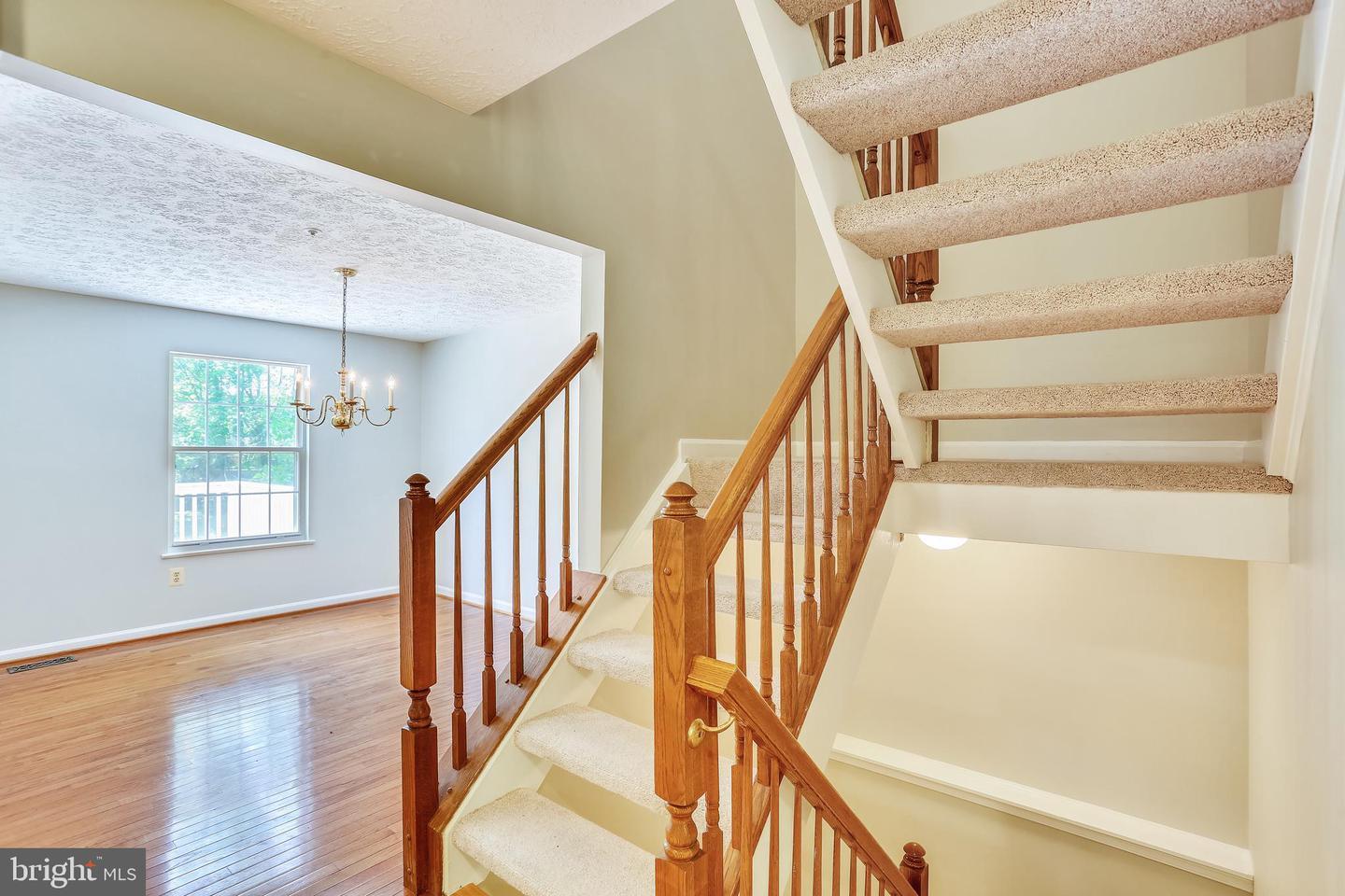 AnyConv.com__GetMedia (31).jpg