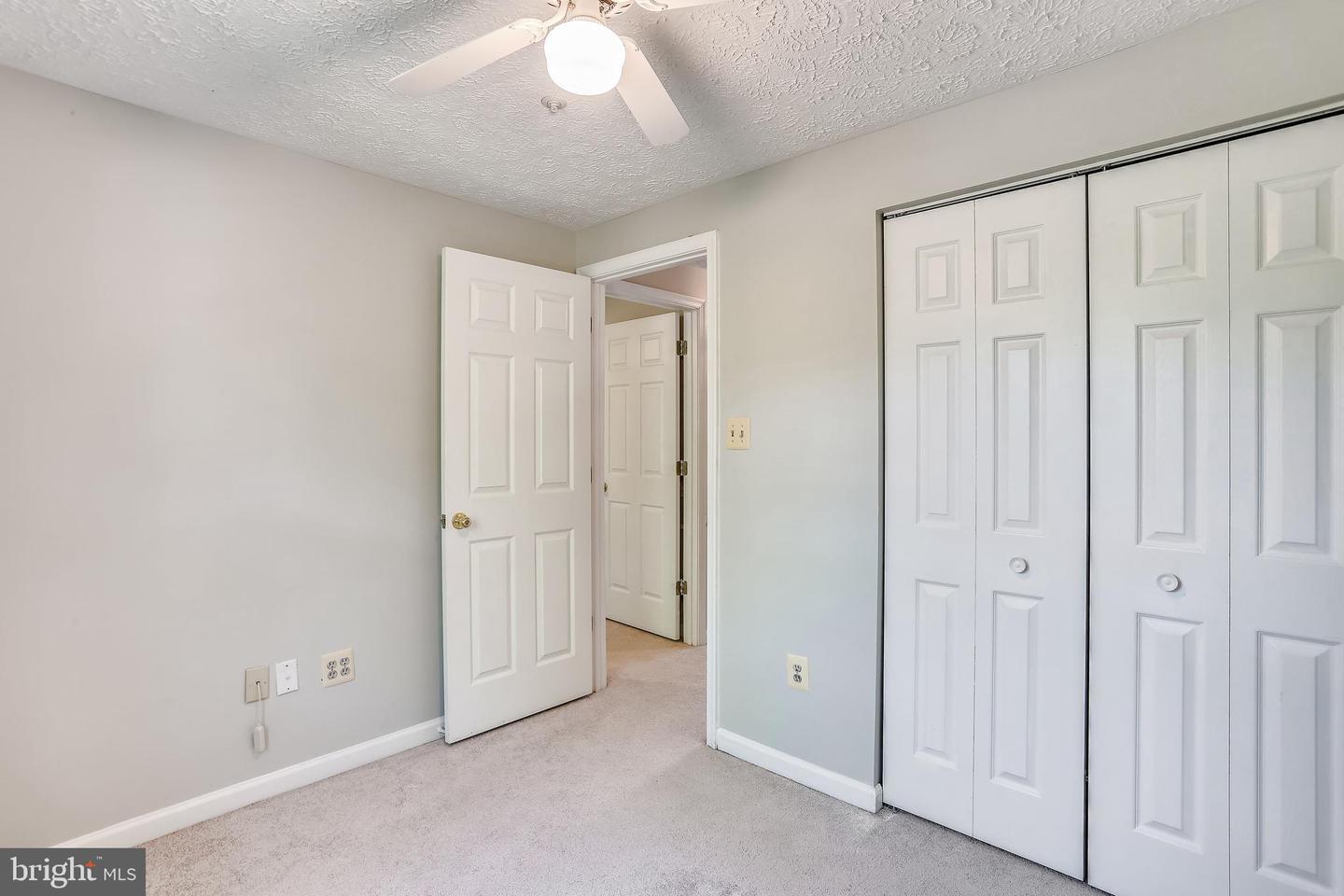 AnyConv.com__GetMedia (40).jpg