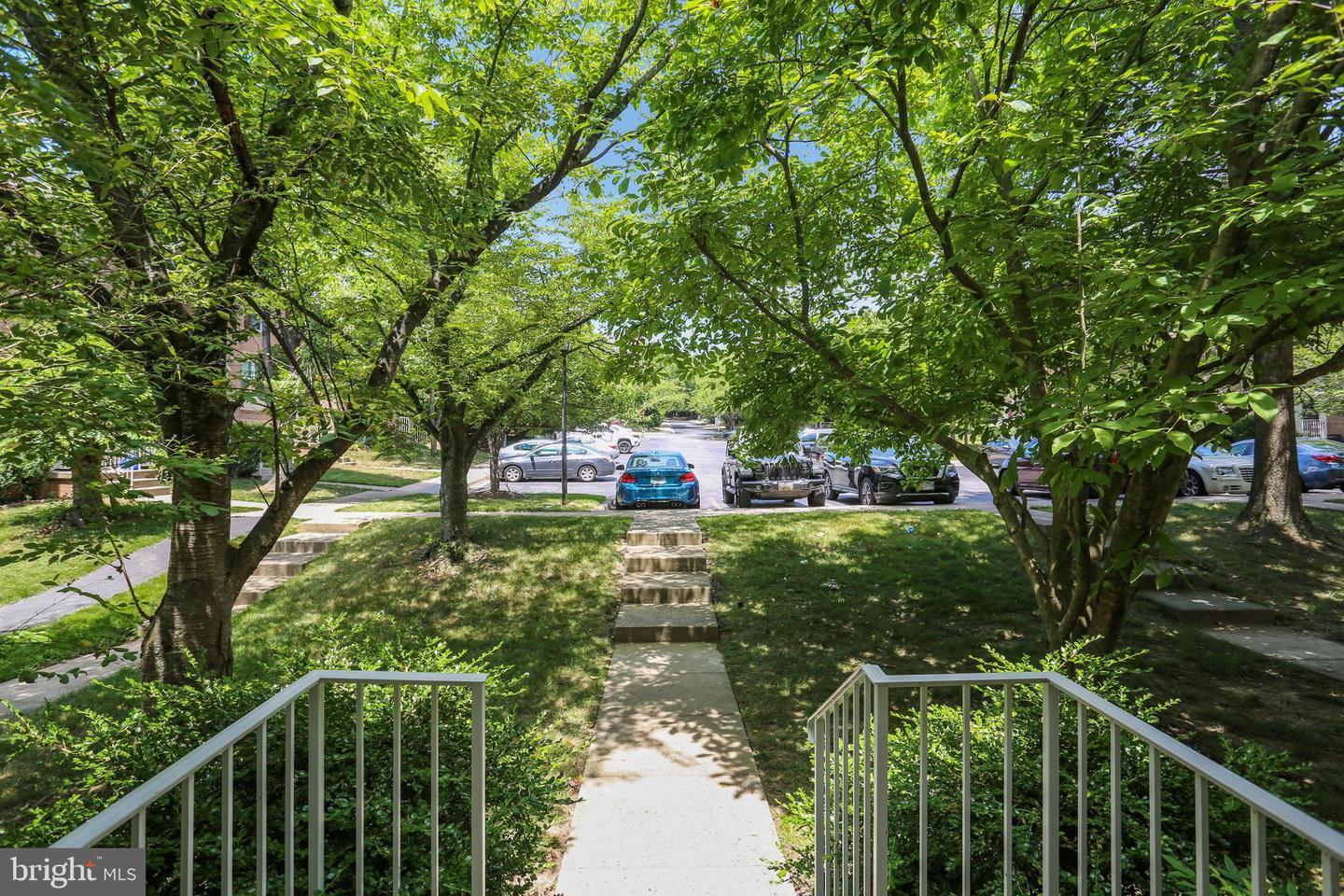 AnyConv.com__GetMedia (4).jpg