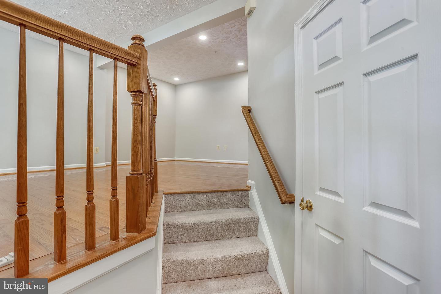 AnyConv.com__GetMedia (8).jpg