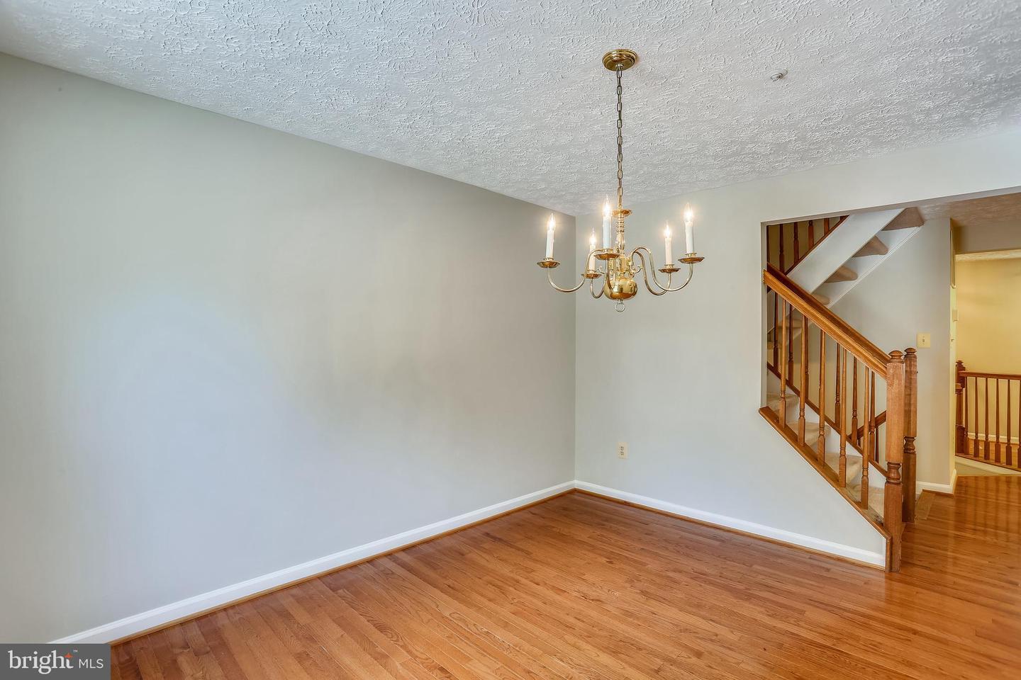 AnyConv.com__GetMedia (21).jpg