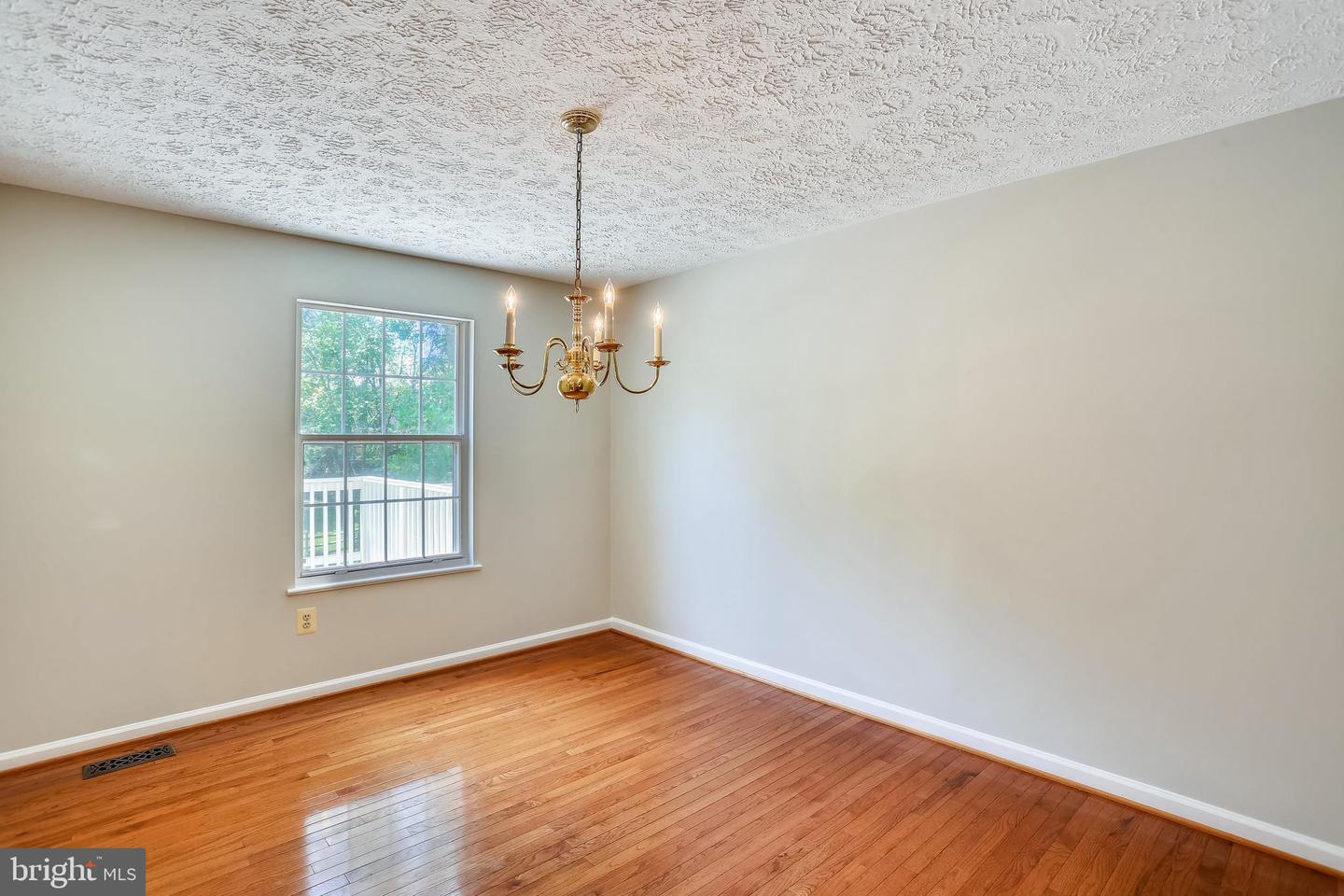 AnyConv.com__GetMedia (20).jpg