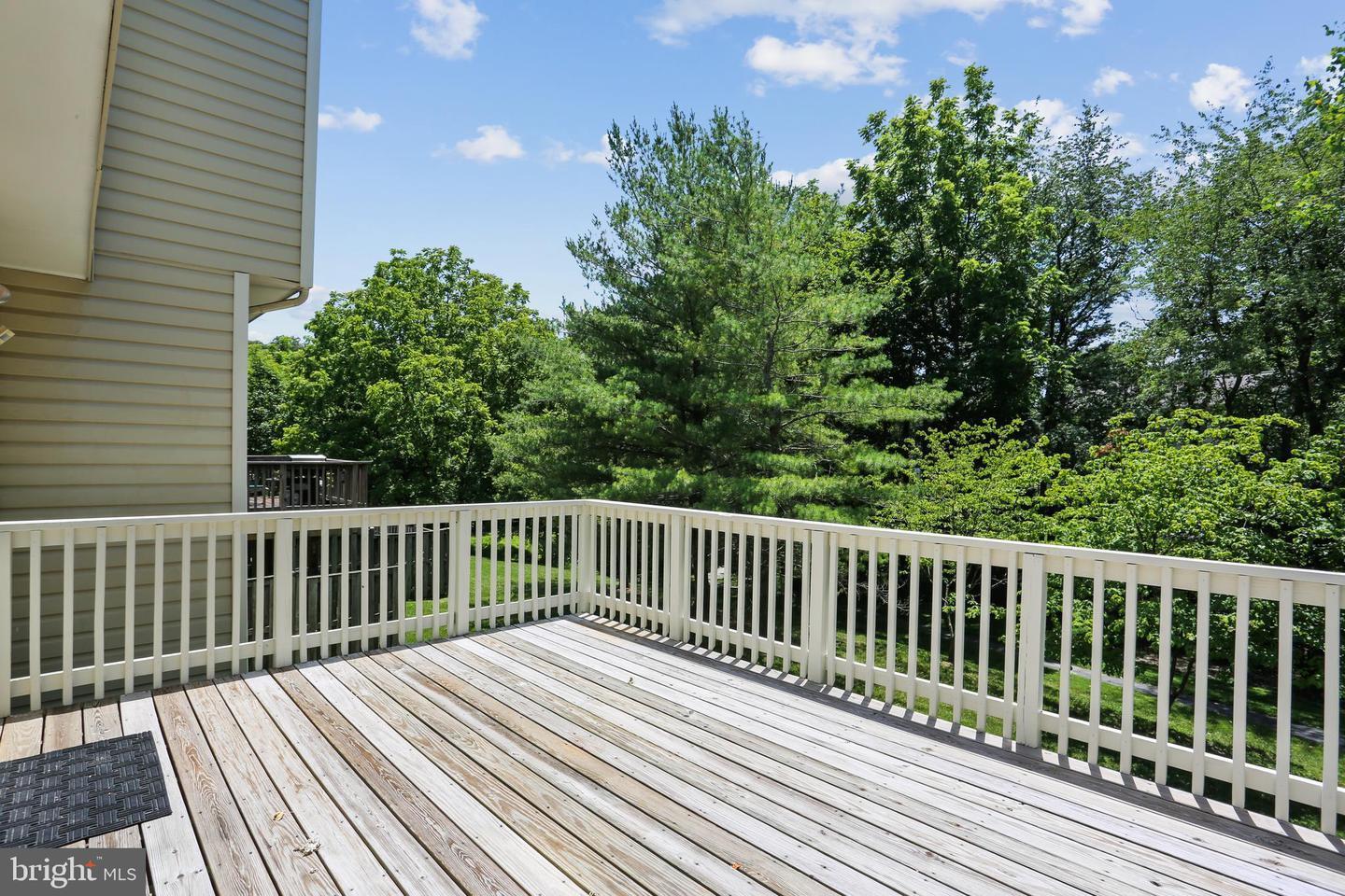 AnyConv.com__GetMedia (30).jpg