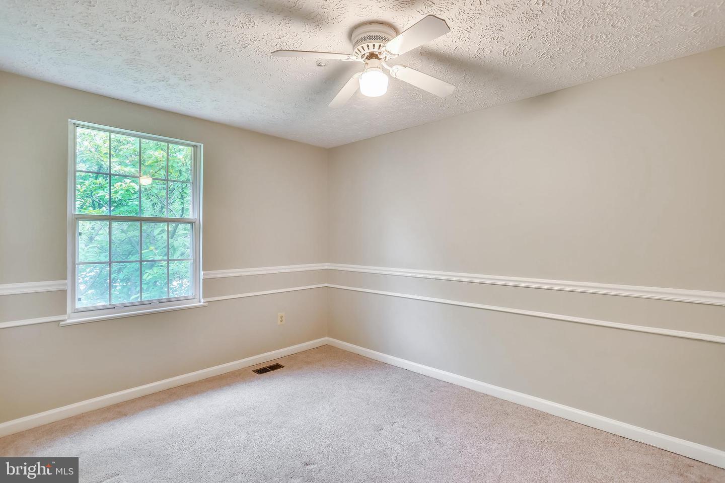 AnyConv.com__GetMedia (41).jpg