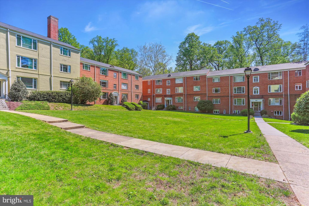 outside 4.jpg