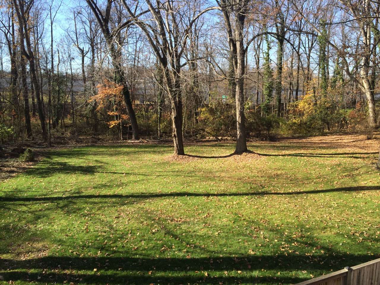lawn.jpg