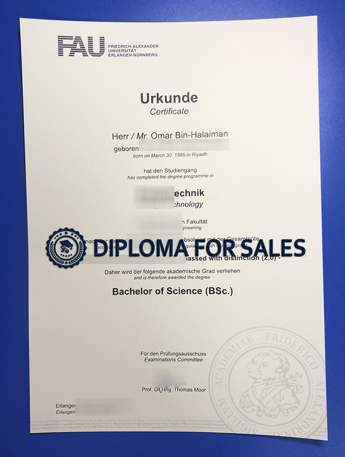 University-of-Erlangen�CNuremberg-Urkunde31.jpg