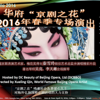 ����������֮����2016�괺��ר���ݳ�